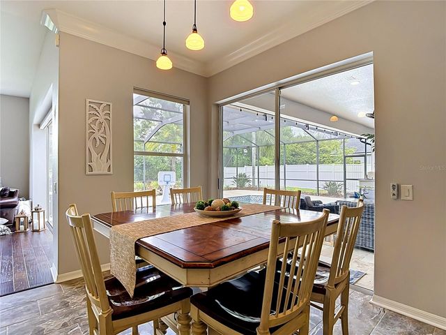 19128 CENTRE ROSE BOULEVARD, Lutz, FL 33558