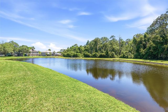 12514 LOQUAT WAY, Tampa, FL 33626