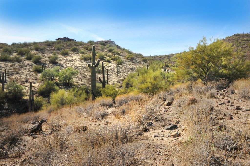 11664 N SUNSET VISTA Drive 45, Fountain Hills, AZ 85268 — photo 2