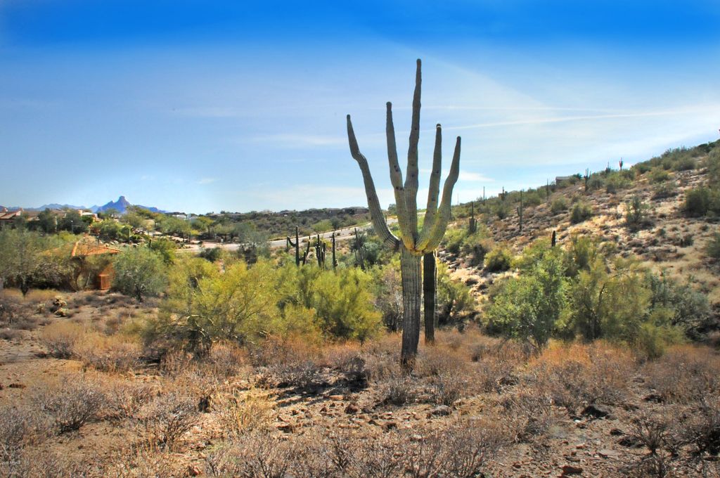11664 N SUNSET VISTA Drive 45, Fountain Hills, AZ 85268 — photo 3