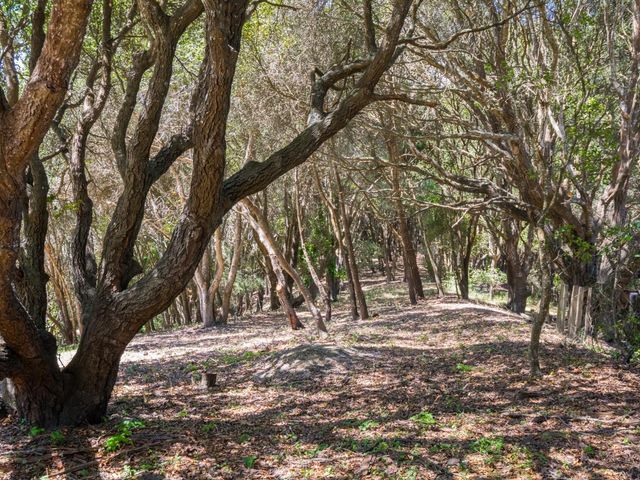925 Old Farm Lane, Aptos, CA 95003