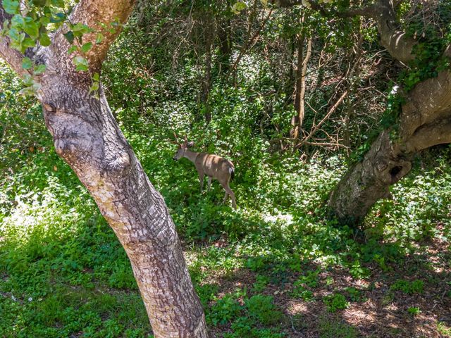 925 Old Farm Lane, Aptos, CA 95003