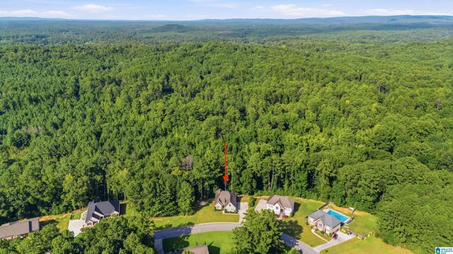 1049 SEDGEFIELD CIRCLE, Morris, AL 35116