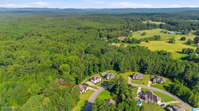 1049 SEDGEFIELD CIRCLE, Morris, AL 35116