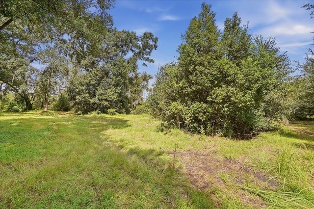 2929 AL SIMMONS ROAD, Dover, FL 33527