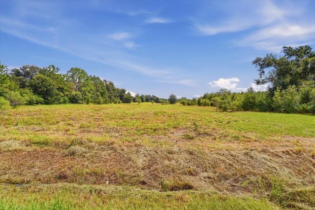 2929 AL SIMMONS ROAD, Dover, FL 33527