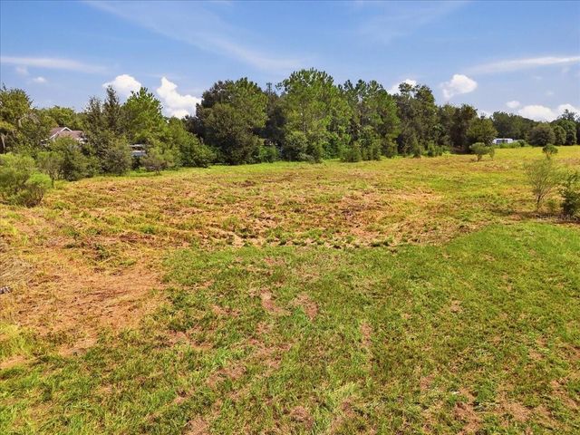 2929 AL SIMMONS ROAD, Dover, FL 33527