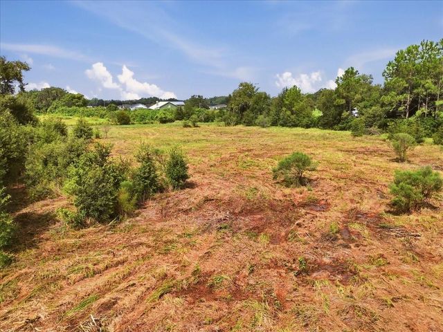 2929 AL SIMMONS ROAD, Dover, FL 33527