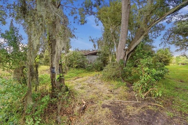 2929 AL SIMMONS ROAD, Dover, FL 33527