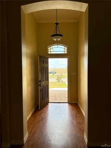 3207 Omega Street, Edinburg, TX 78539