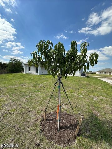 836 Newell ST E, Lehigh Acres, FL 33974