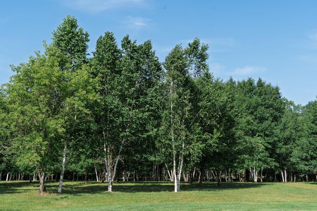 5235 313th Avenue NW, Cambridge, MN 55008