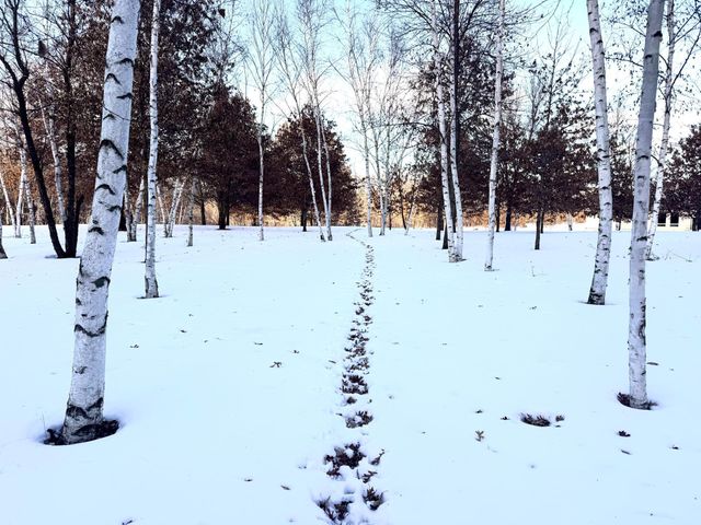 5235 313th Avenue NW, Cambridge, MN 55008