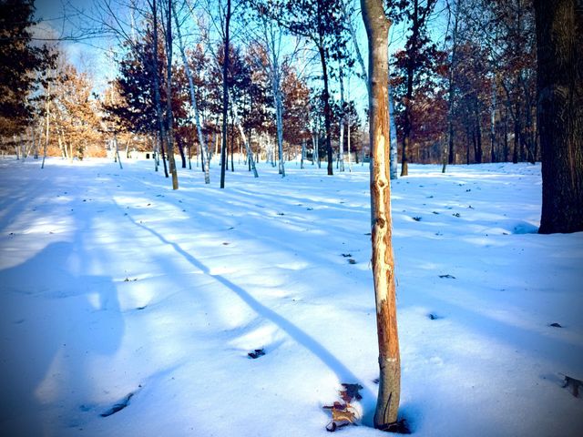 5235 313th Avenue NW, Cambridge, MN 55008