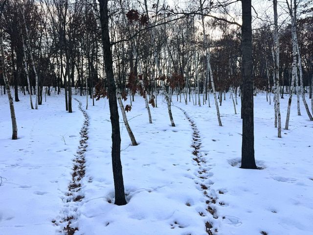 5235 313th Avenue NW, Cambridge, MN 55008