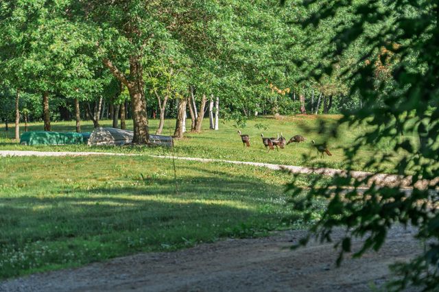 5235 313th Avenue NW, Cambridge, MN 55008