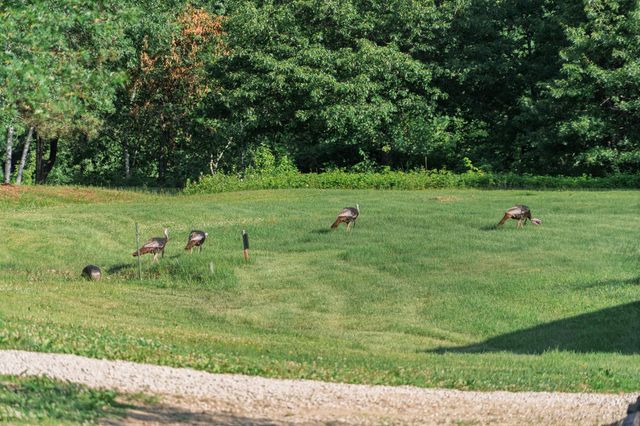 5235 313th Avenue NW, Cambridge, MN 55008