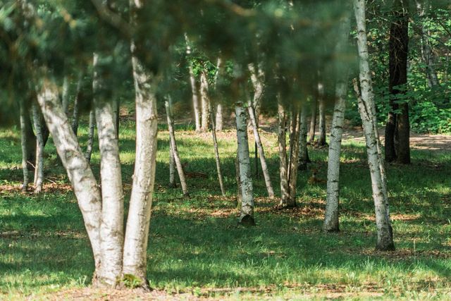 5235 313th Avenue NW, Cambridge, MN 55008