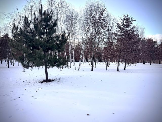 5235 313th Avenue NW, Cambridge, MN 55008