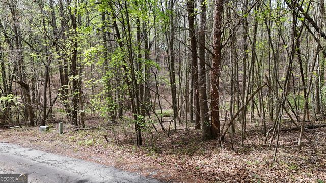 0 Shenandoah Drive, Cleveland, GA 30528