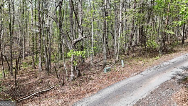 0 Shenandoah Drive, Cleveland, GA 30528