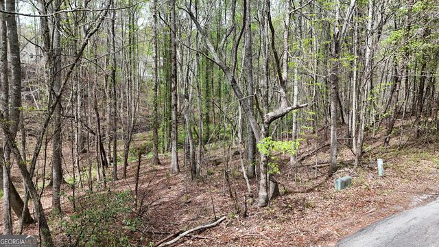 0 Shenandoah Drive, Cleveland, GA 30528