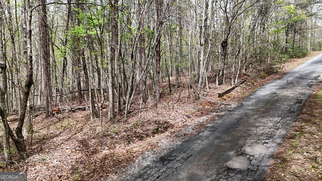 0 Shenandoah Drive, Cleveland, GA 30528