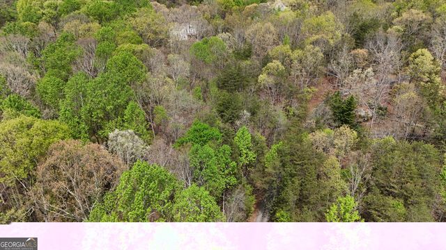 0 Shenandoah Drive, Cleveland, GA 30528