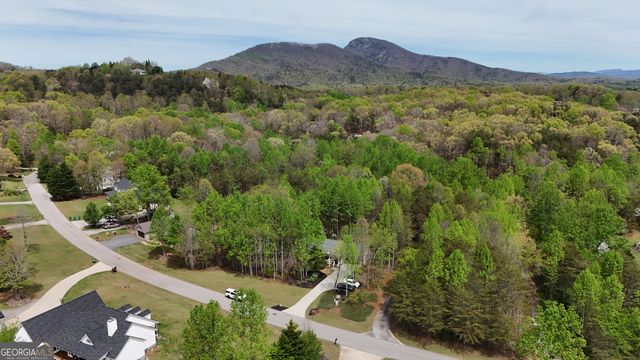 0 Shenandoah Drive, Cleveland, GA 30528