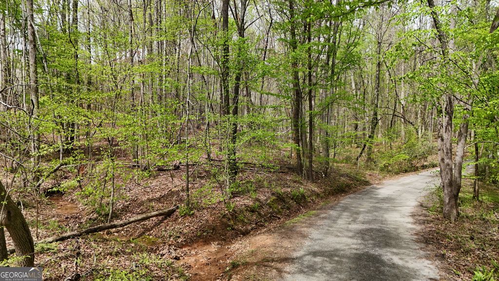 0 Shenandoah Drive, Cleveland, GA 30528