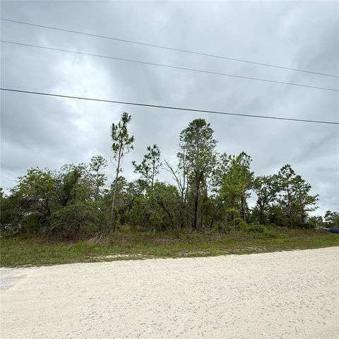 11200 MARVELWOOD ROAD, Weeki Wachee, FL 34614