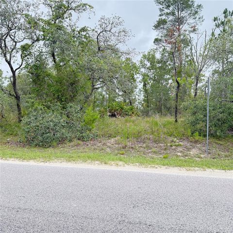 11200 MARVELWOOD ROAD, Weeki Wachee, FL 34614