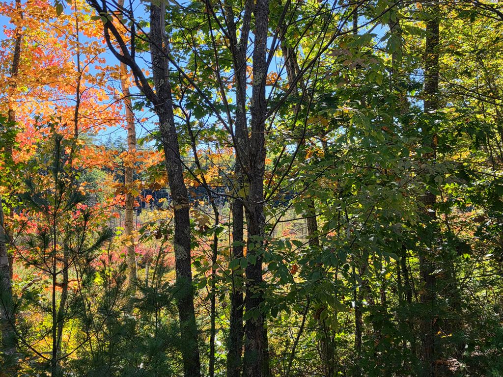 36 Standish Neck Road, Gorham, ME 04038 — photo 2