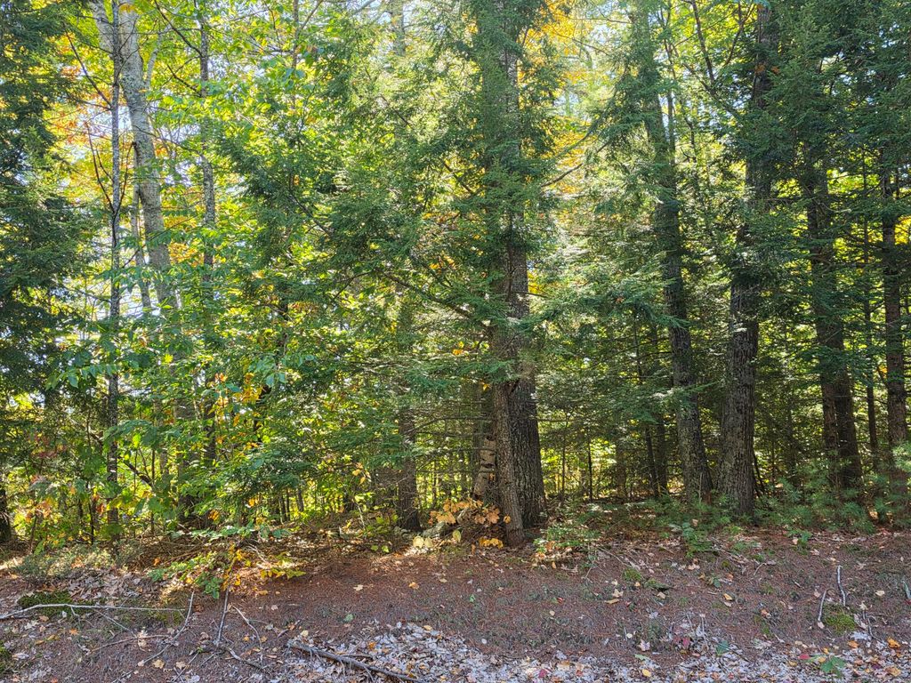 36 Standish Neck Road, Gorham, ME 04038 — photo 3