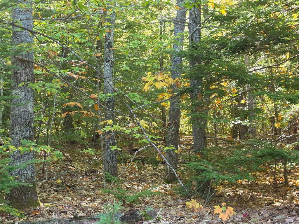 36 Standish Neck Road, Gorham, ME 04038 — photo 4