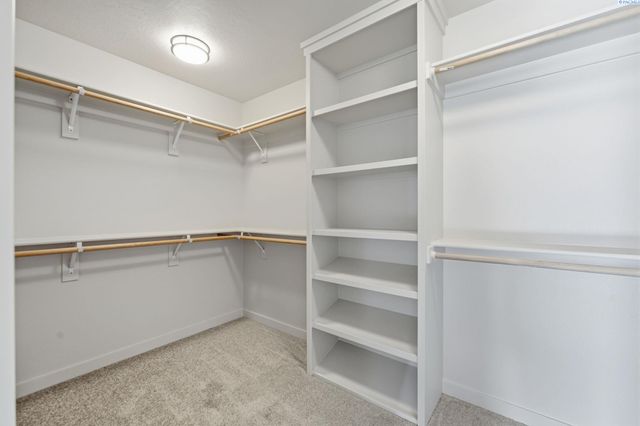 8806 Dusty Maiden Dr, Pasco, WA 99301