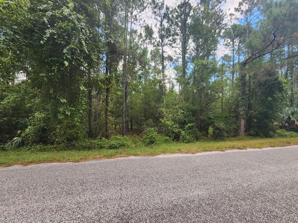QUINCE AVENUE, Eustis, FL 32736