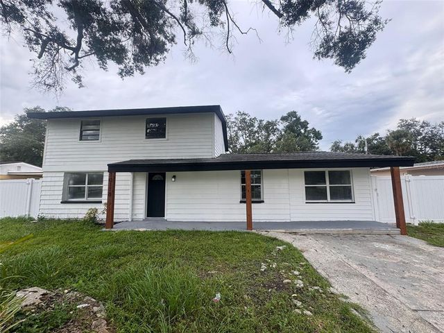 10118 ALAMBRA AVENUE, Tampa, FL 33619