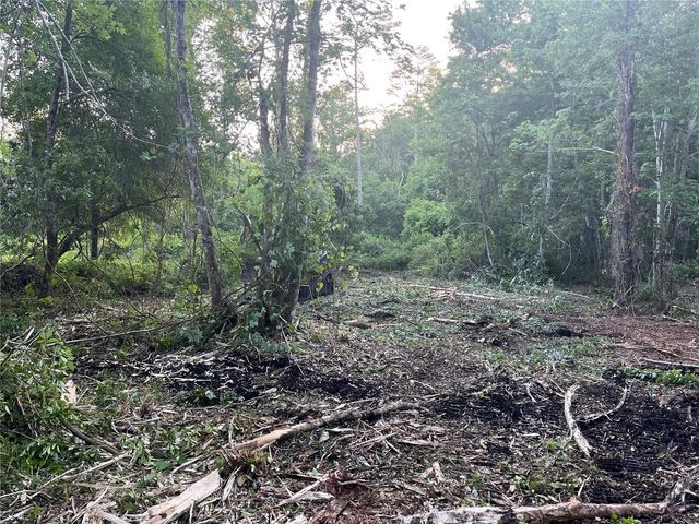 10117 ORLAND STREET, New Port Richey, FL 34654