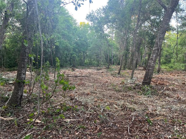 10117 ORLAND STREET, New Port Richey, FL 34654