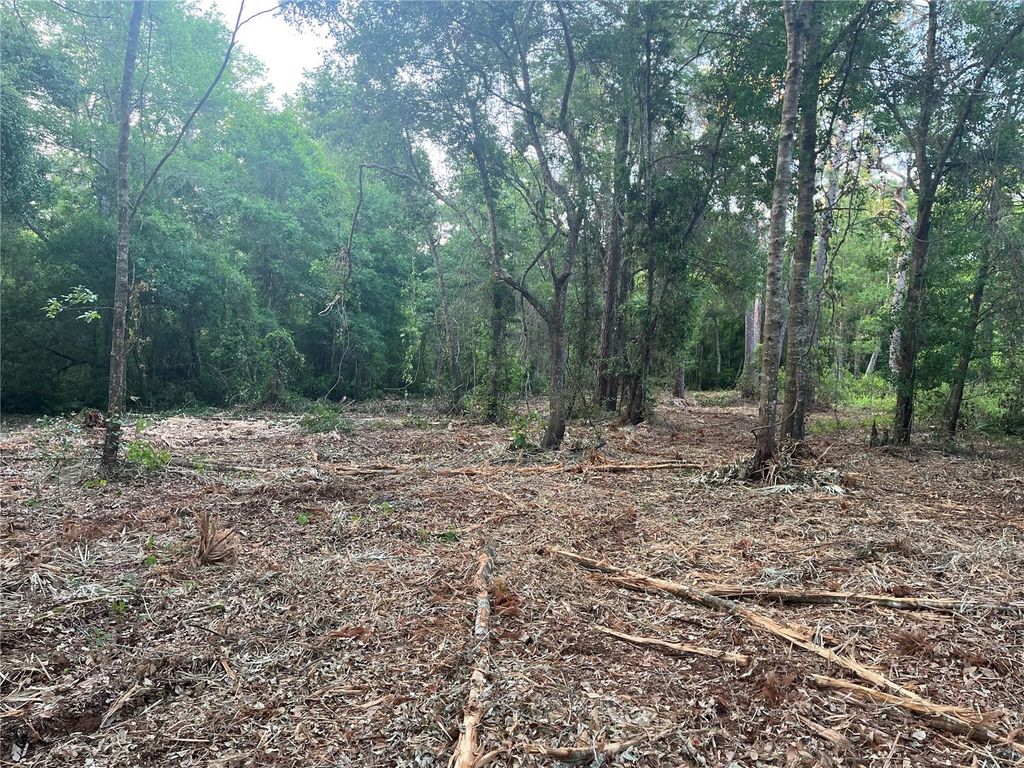 10117 ORLAND STREET, New Port Richey, FL 34654