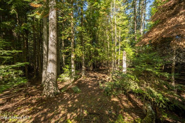 25739 N Good Hope RD, Athol, ID 83801