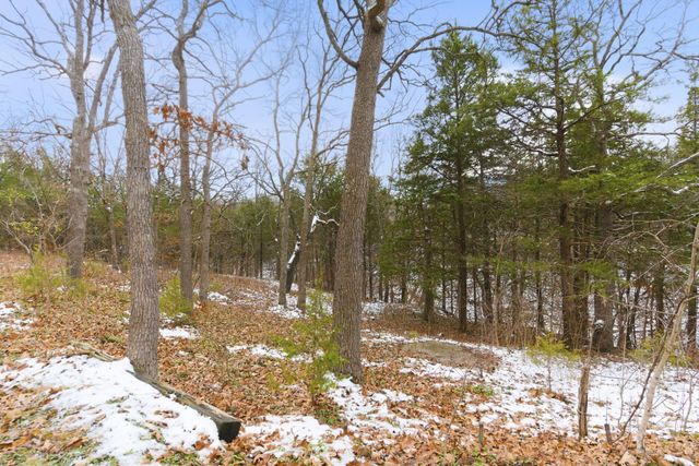 25986 Willow Road, Hermitage, MO 65668