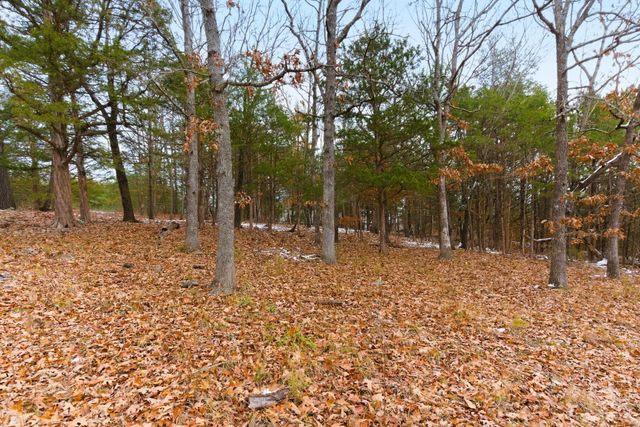 25986 Willow Road, Hermitage, MO 65668