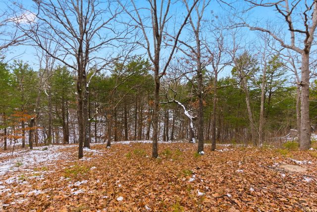 25986 Willow Road, Hermitage, MO 65668