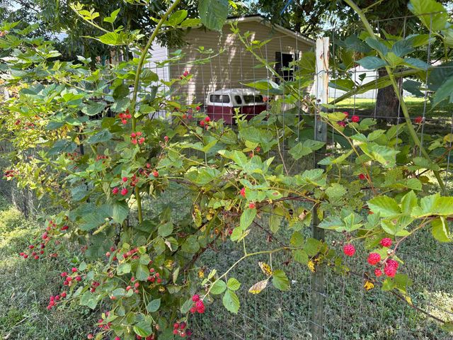 1014 S Third Street, Judsonia, AR 72081