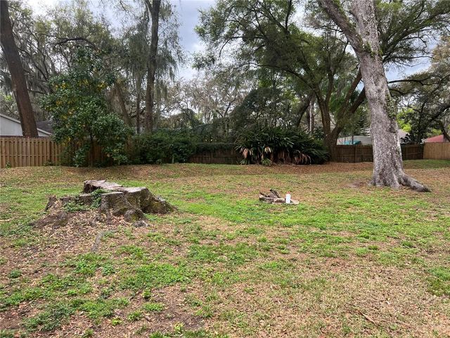 1101 OAKRIDGE MANOR DRIVE, Brandon, FL 33511
