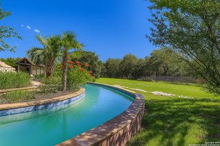 2550 black bear, New Braunfels, TX 78132