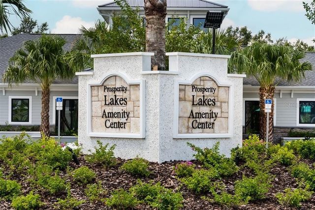 13603 SUNSET SAPPHIRE COURT, Parrish, FL 34219