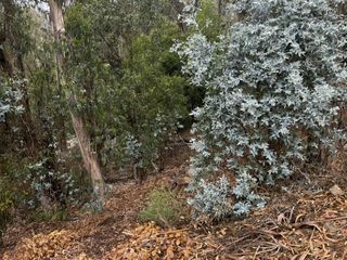 6595 Thornhill Drive, Oakland, CA 94611